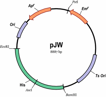 Fig. 1