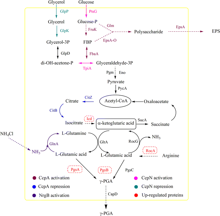 Fig. 6