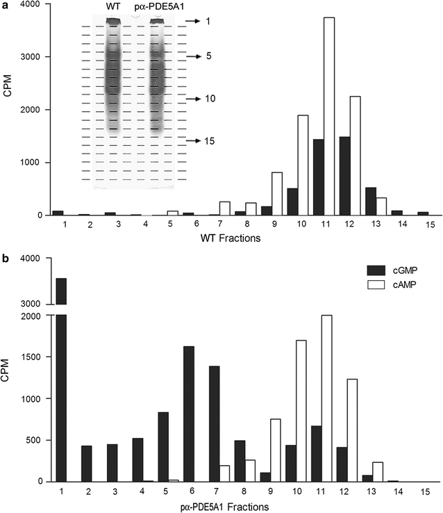 Fig. 4