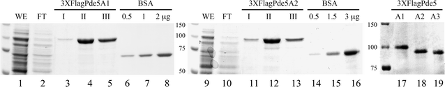 Fig. 7