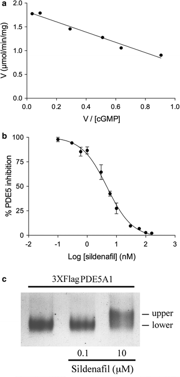 Fig. 8