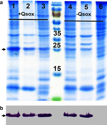 Fig. 1