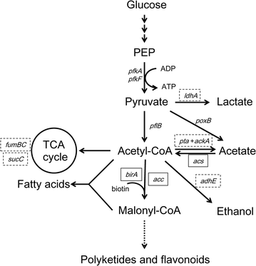 Fig. 1