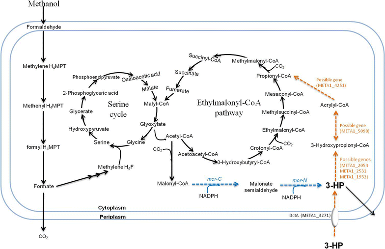 Fig. 1