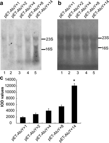 Fig. 2