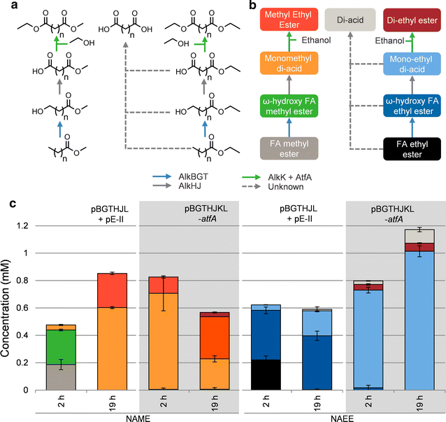 Fig. 4