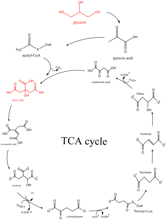 Scheme 4