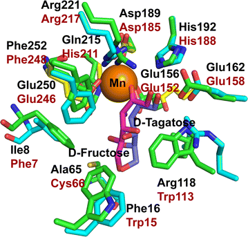 Fig. 6