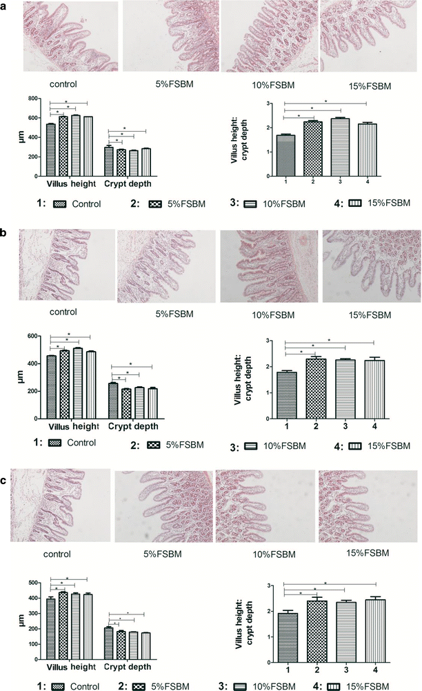 Fig. 4