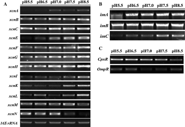 Fig. 3