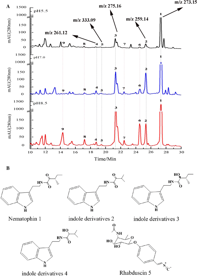 Fig. 5