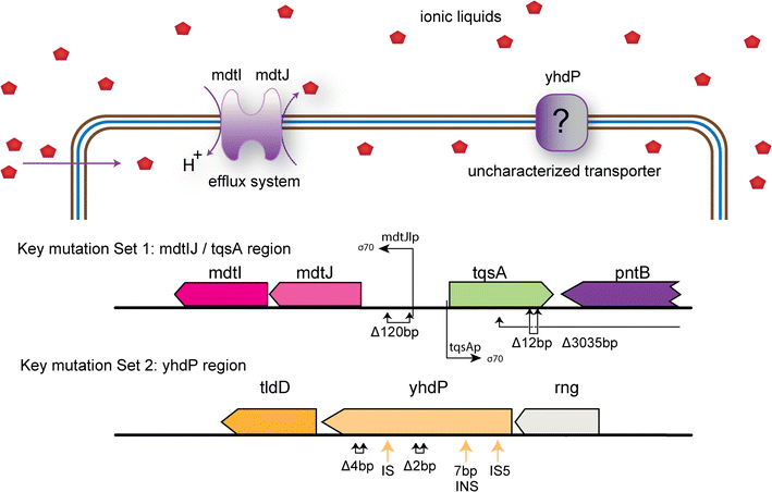 Fig. 4