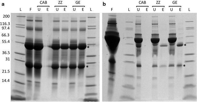 Fig. 3