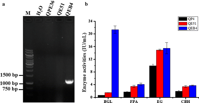 Fig. 10