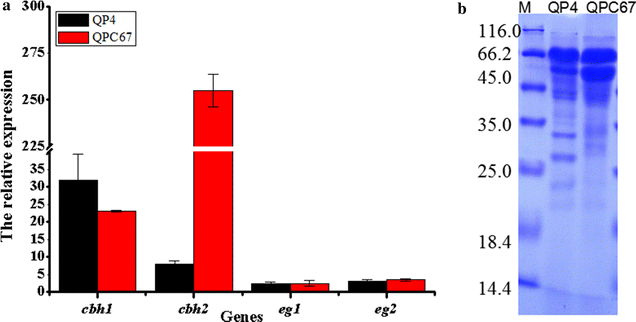 Fig. 2