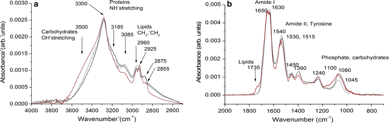 Fig. 12