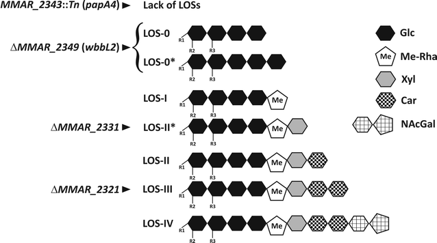 Fig. 1