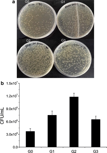 Fig. 3