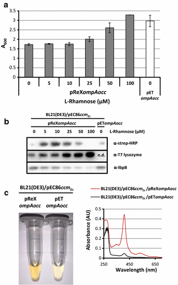 Fig. 5