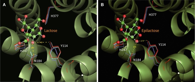 Fig. 1