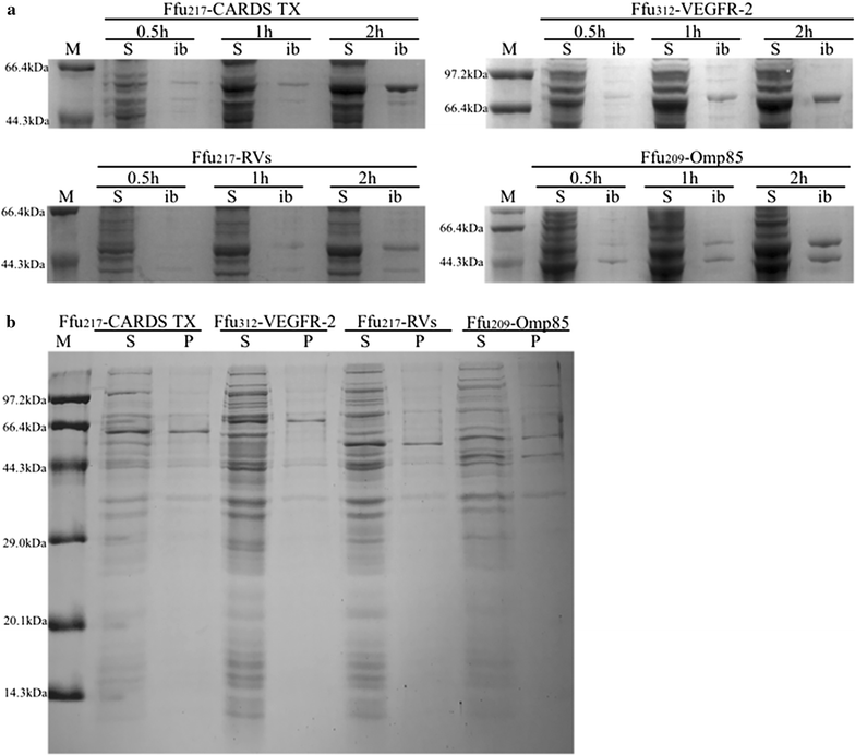 Fig. 4