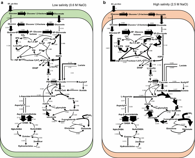 Fig. 7