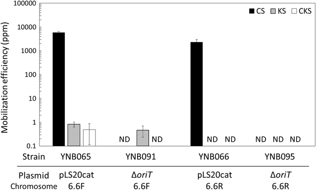 Fig. 3