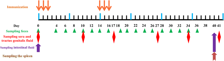 Fig. 4