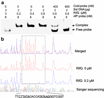 Fig. 3