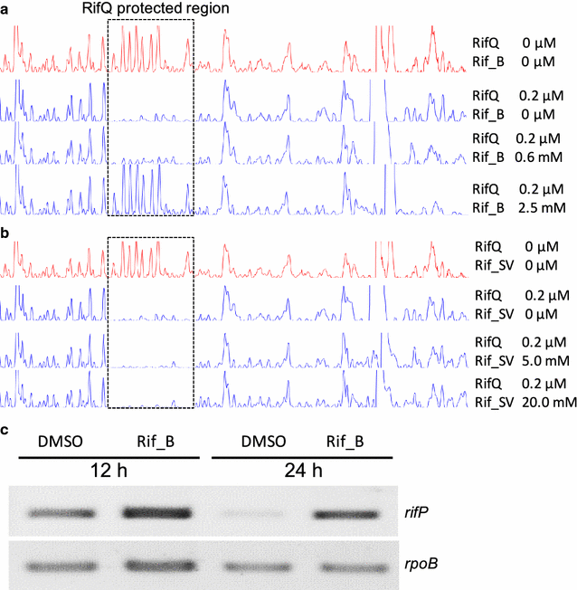 Fig. 4