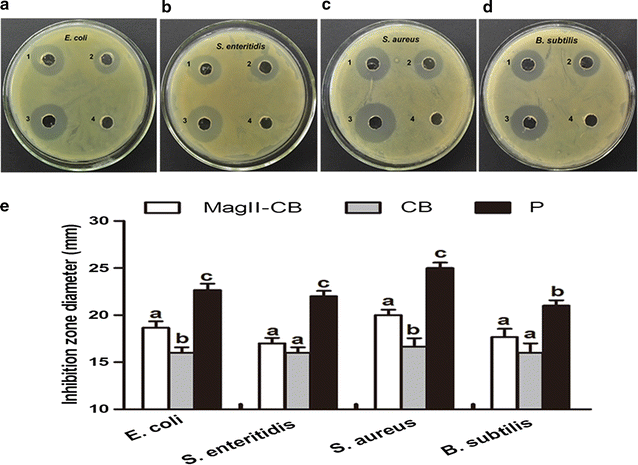 Fig. 3