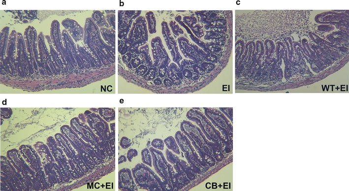 Fig. 9