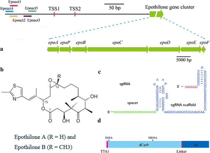 Fig. 2