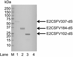 Fig. 4