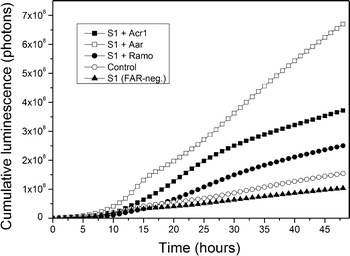 Fig. 3