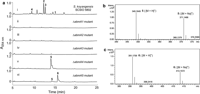 Fig. 4