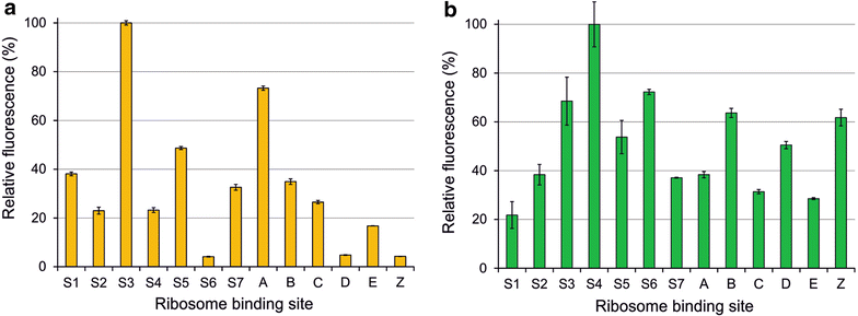 Fig. 2