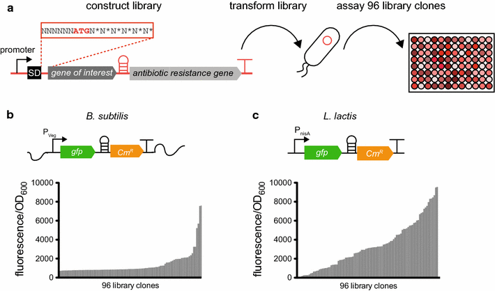 Fig. 2