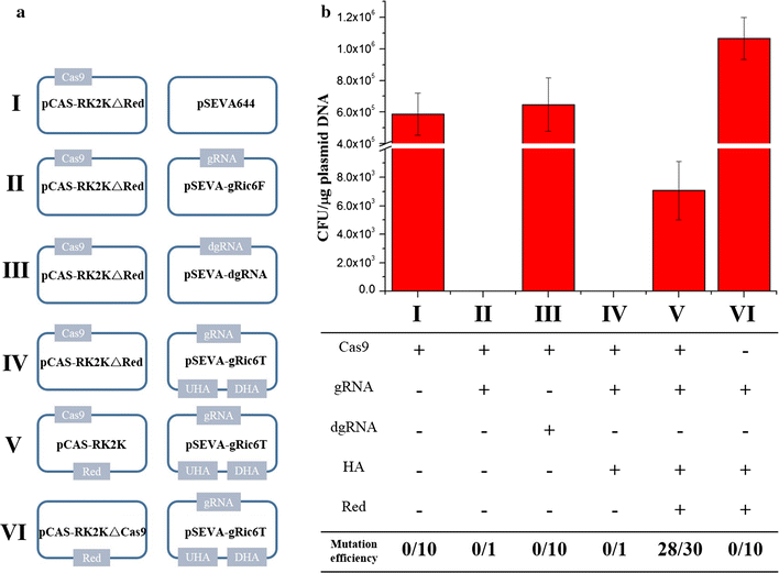 Fig. 3