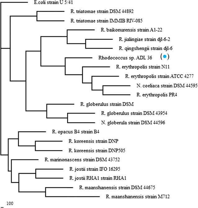 Fig. 2