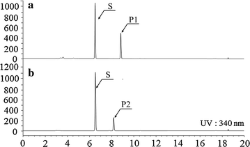 Fig. 6