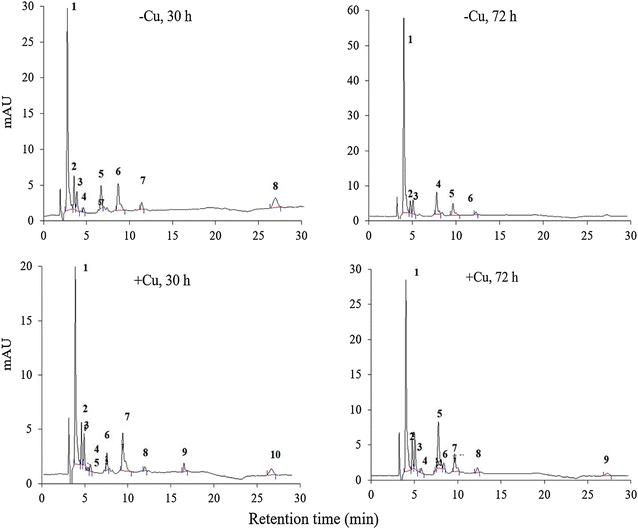 Fig. 2