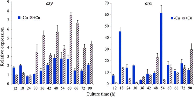 Fig. 3