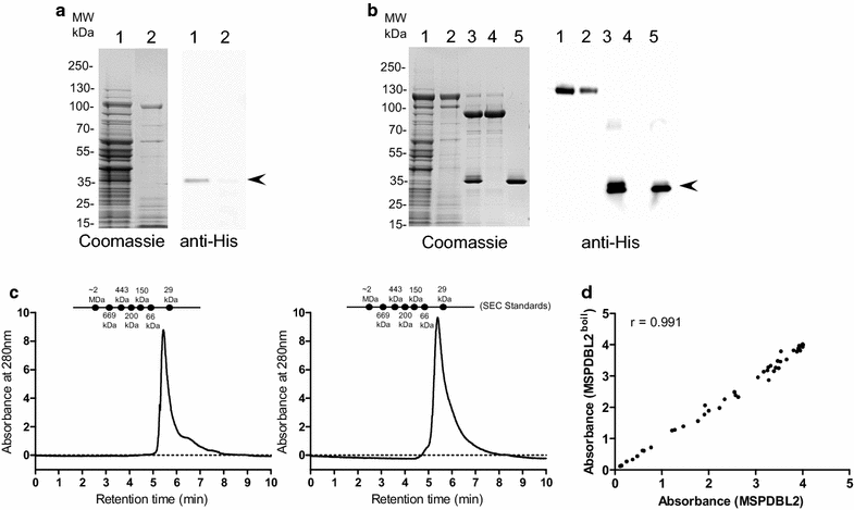 Fig. 2