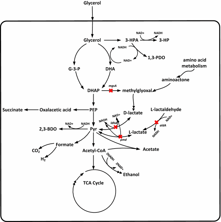 Fig. 1