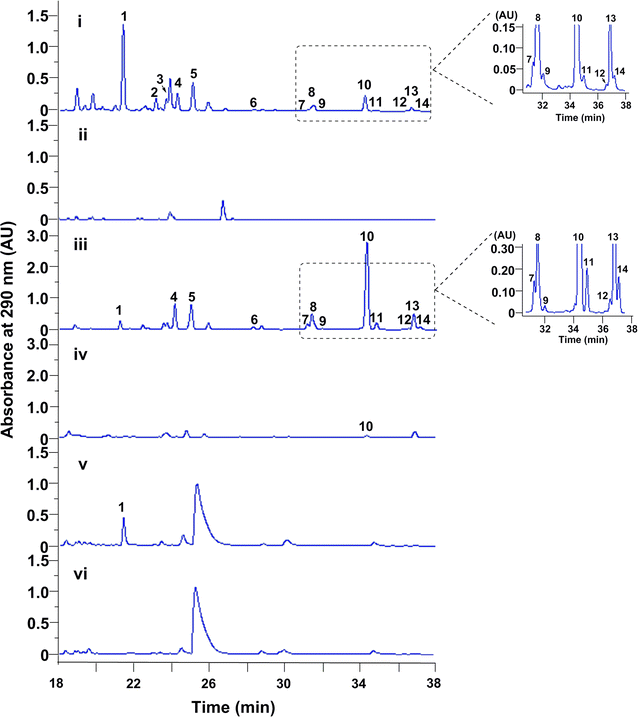 Fig. 3