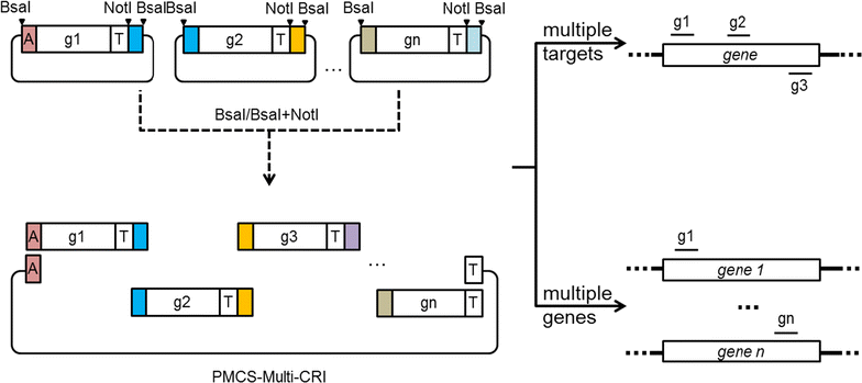 Fig. 4