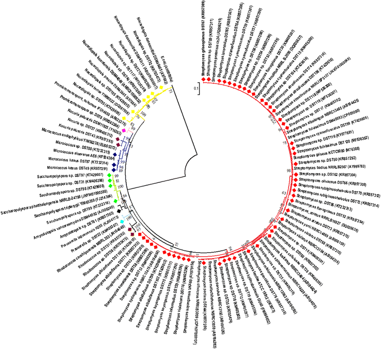 Fig. 1