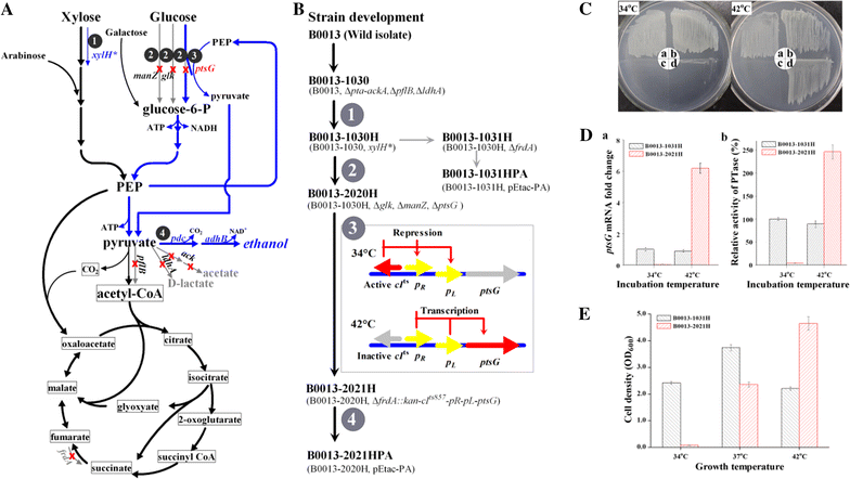 Fig. 1