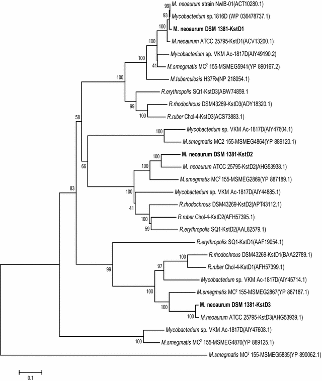 Fig. 2